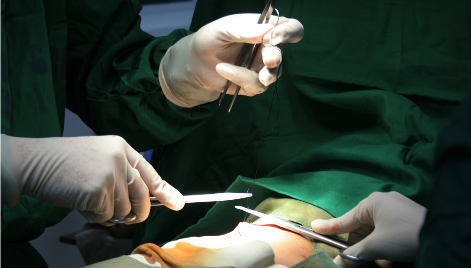 surgery_ss880487_web